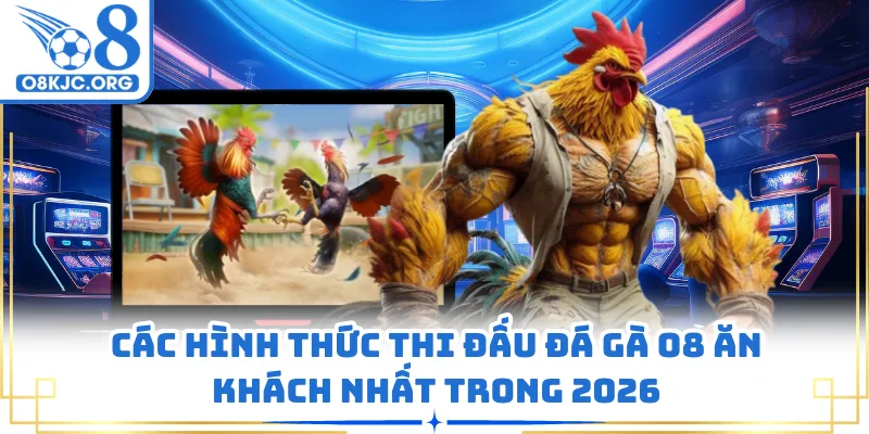 Các hình thức thi đấu đá gà O8 ăn khách nhất trong 2026